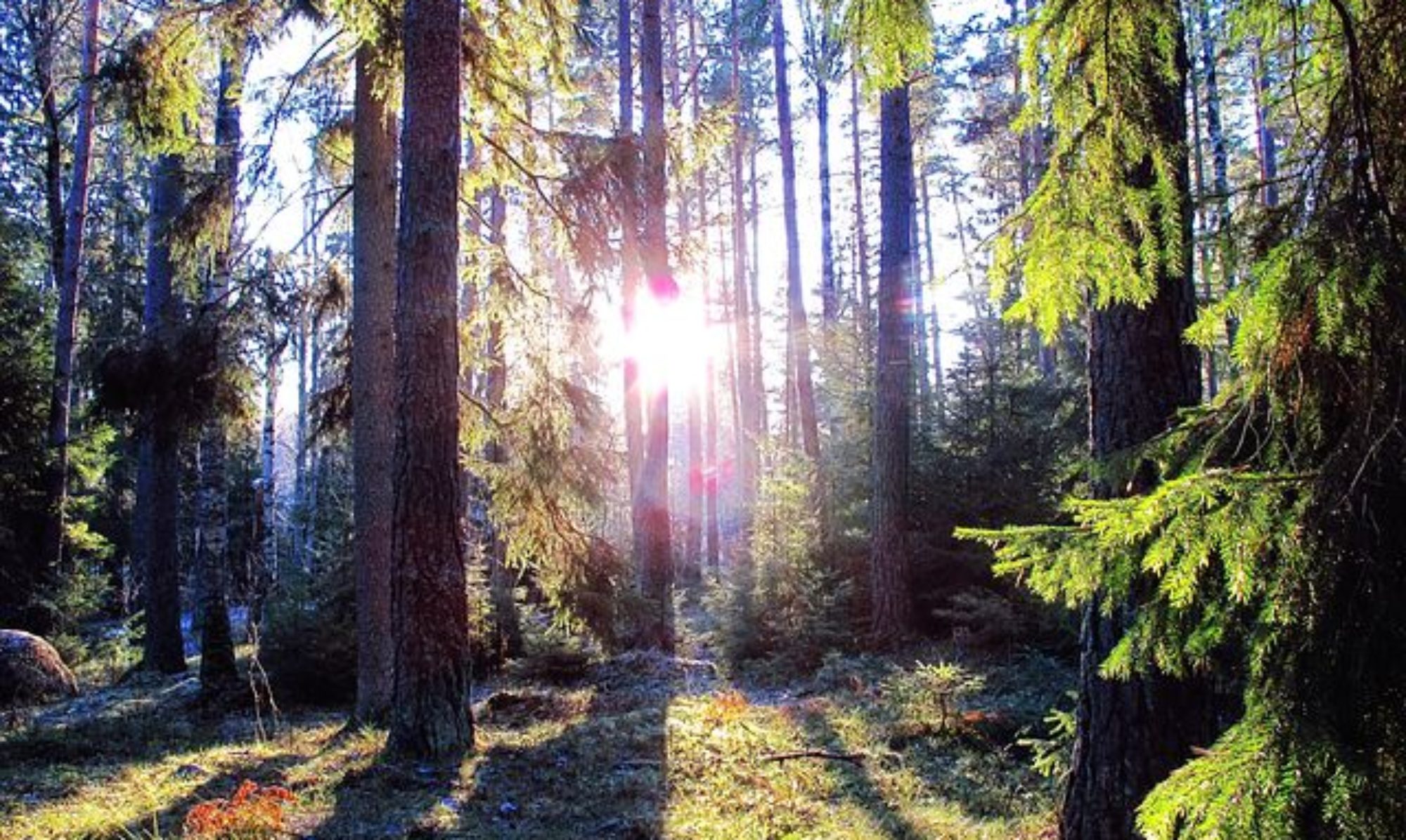 ꧁༒☬Här☬༒꧂